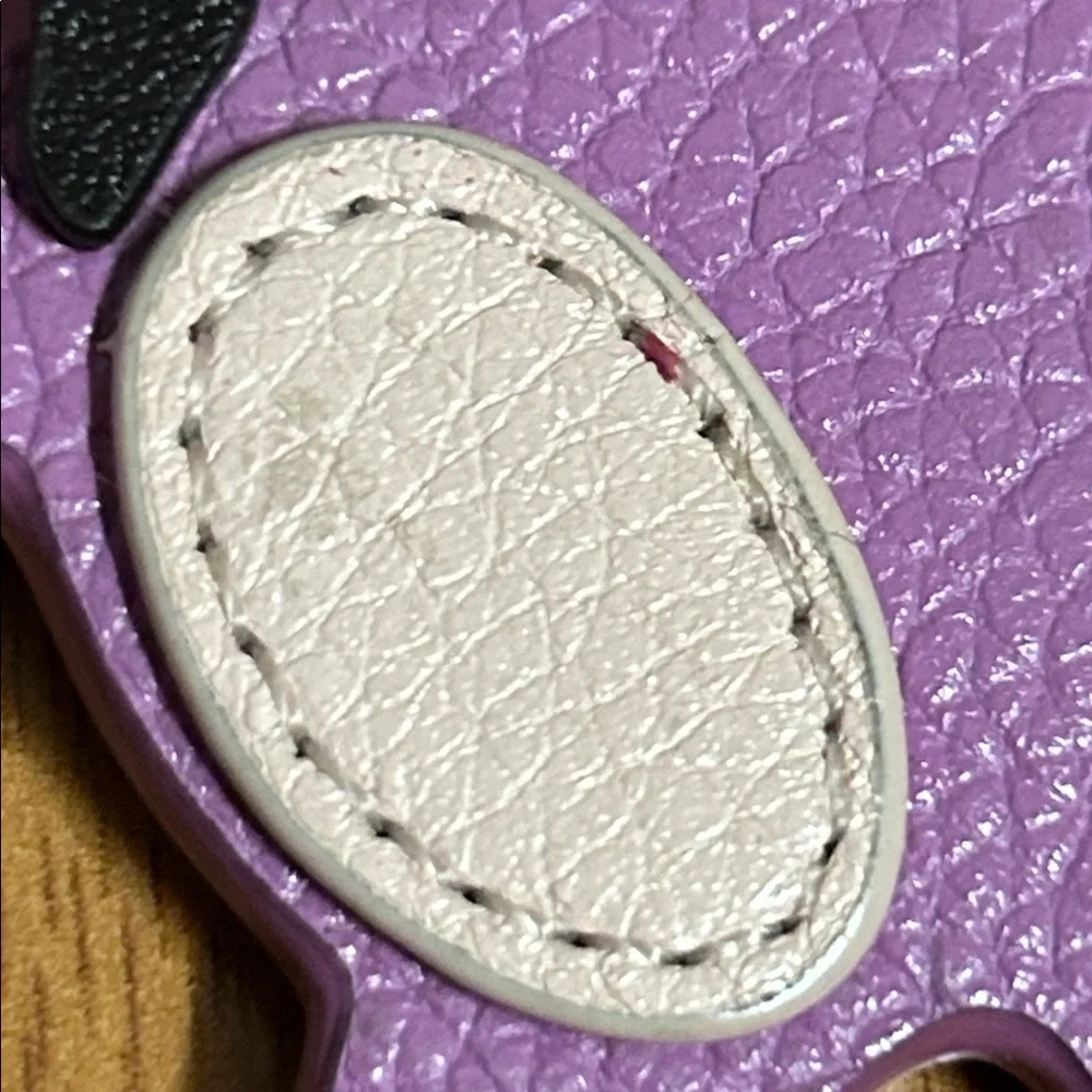 Authentic Coach x Gary Baseman 